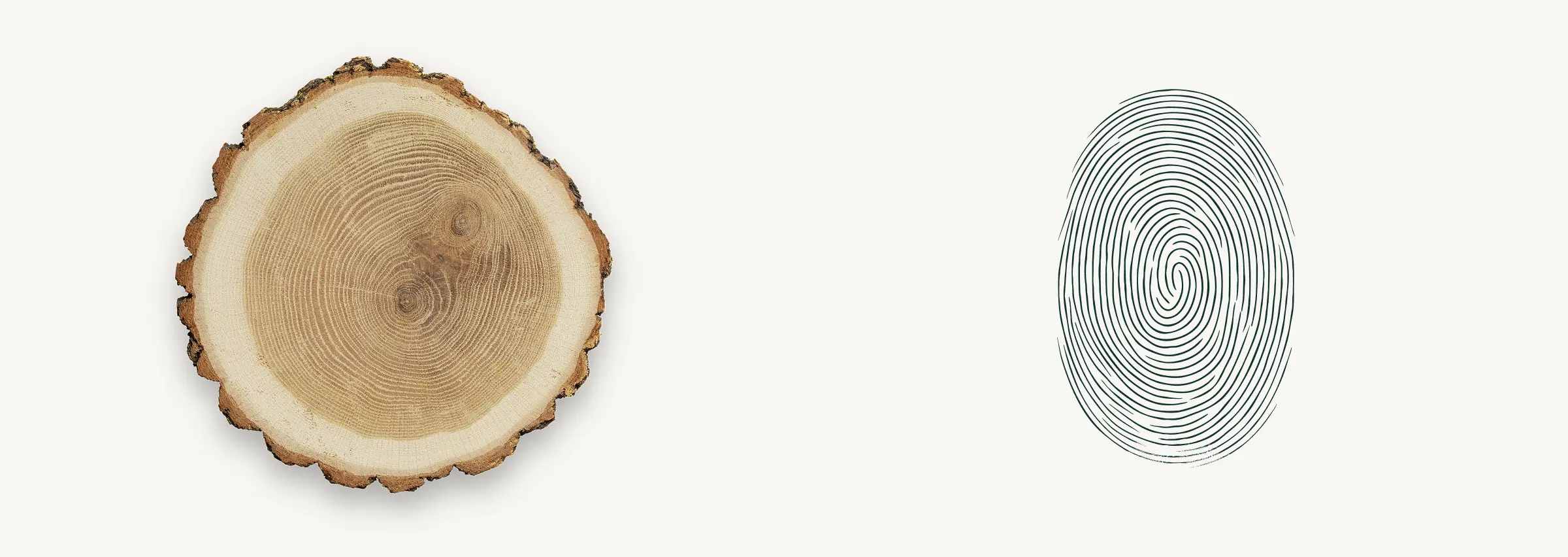 Зображення пня і відбитка пальця людини як візуалізація ідеї логотипу для ресторану doma.